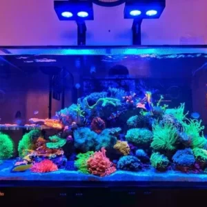 marine-aquariums-500x500